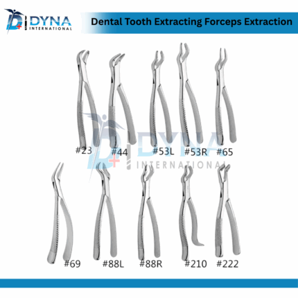 Dental Tooth Extracting Forceps