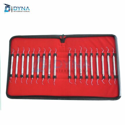 18 Pcs Gracey Curettes Kit French Steel Surgical Dental Instruments