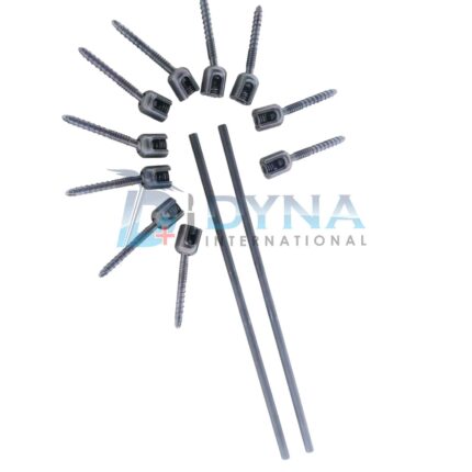 Spine Polyaxial Double Thread