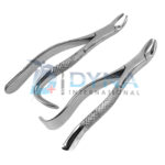 Extracting Forceps Set